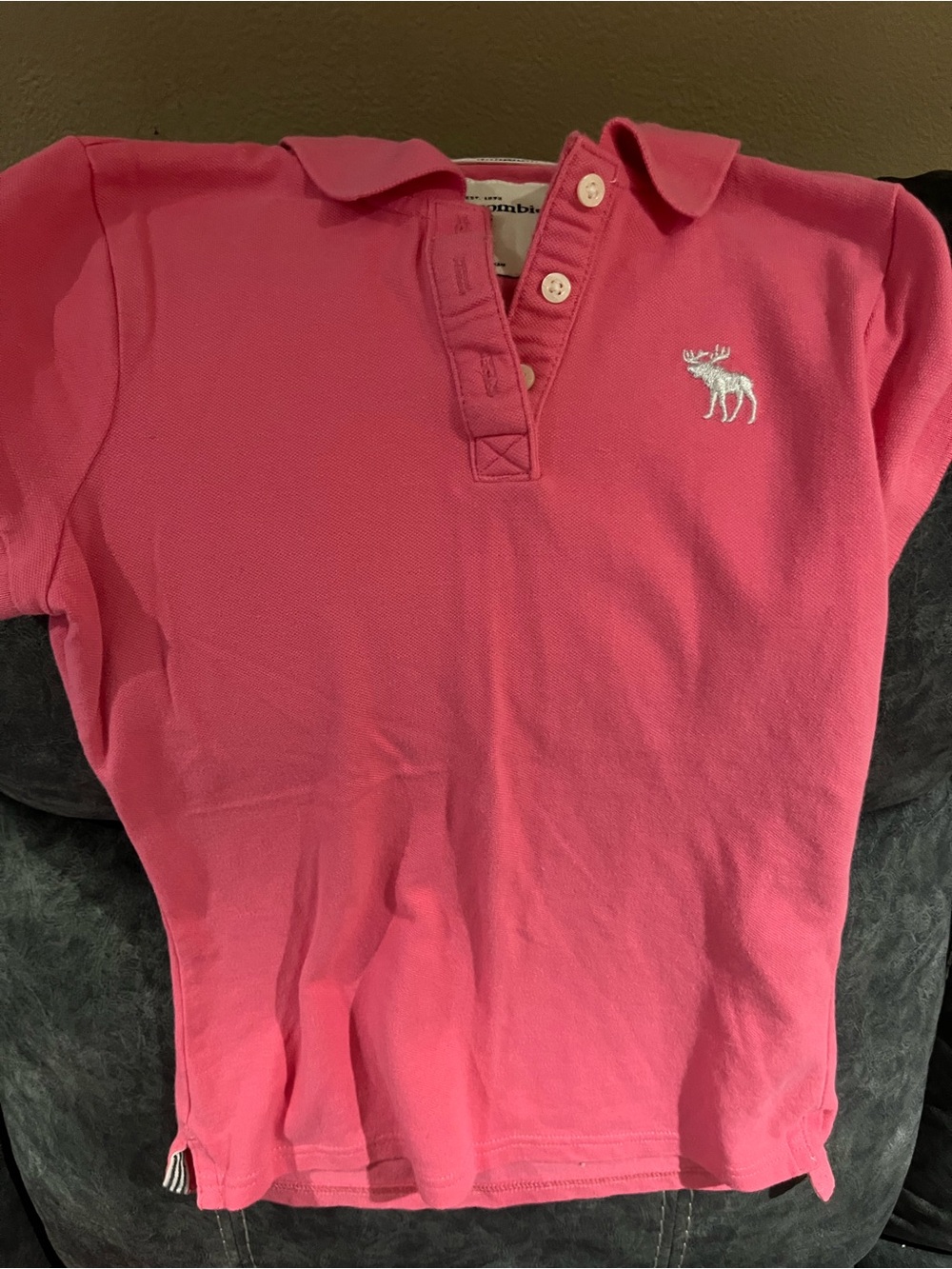 abercrombie kids Hot Pink Polo with Embroidered Moose